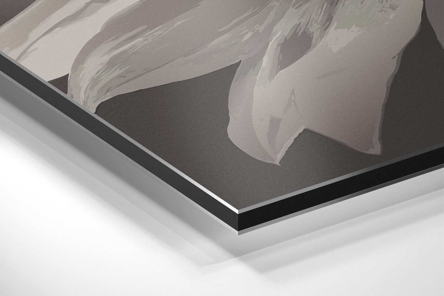 Zachte Zonnebloem Kunstwerk-canvas-dibond-plexiglas-wanddecoratie-WallArtistic