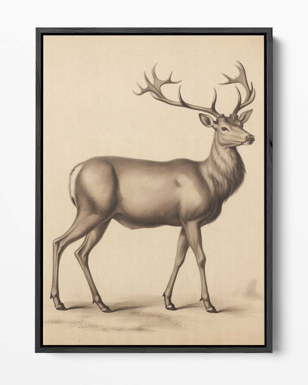 Elegante Hert in Potlood Kunstwerk-canvas-dibond-plexiglas-wanddecoratie-WallArtistic