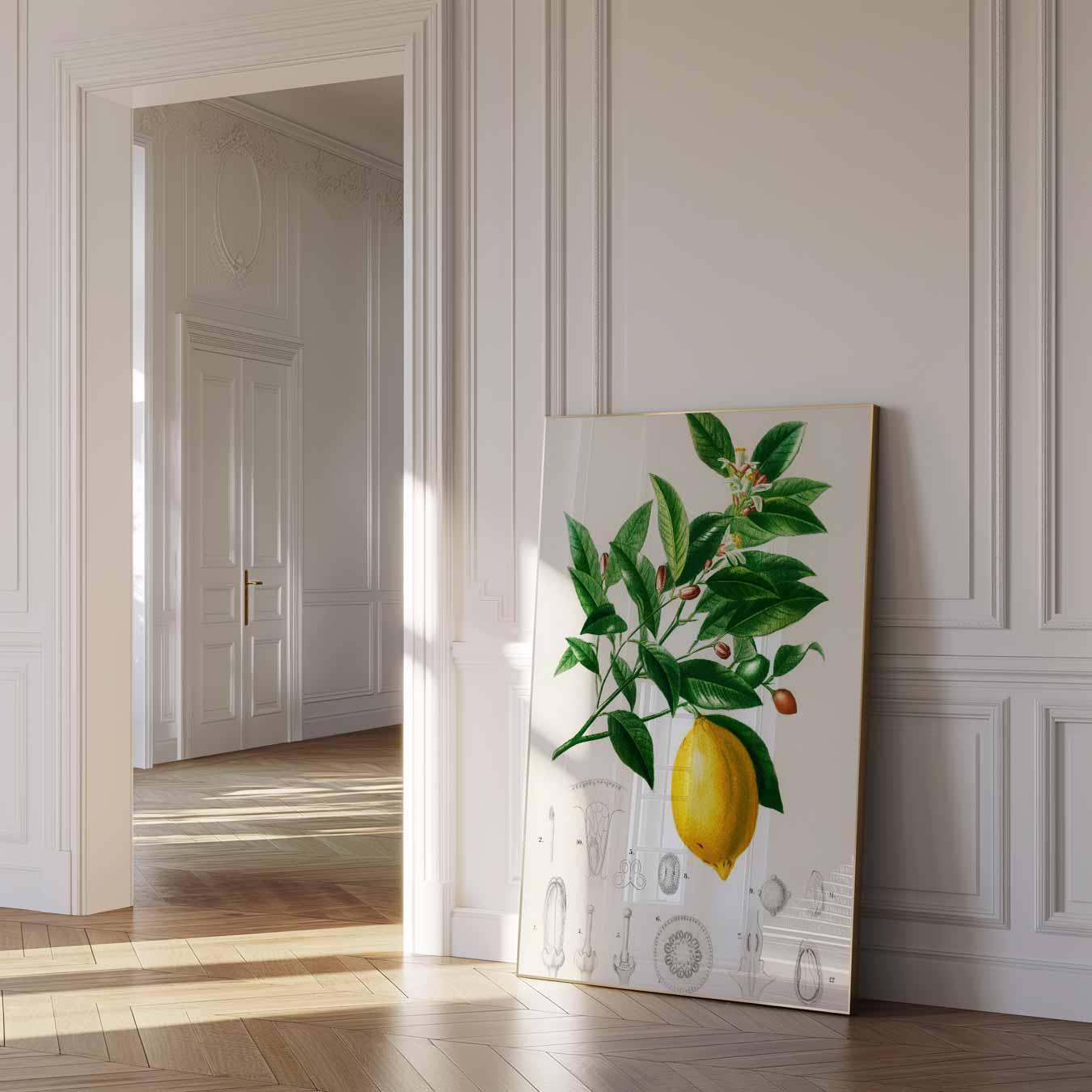 Botanische Citroen Illustratie Poster