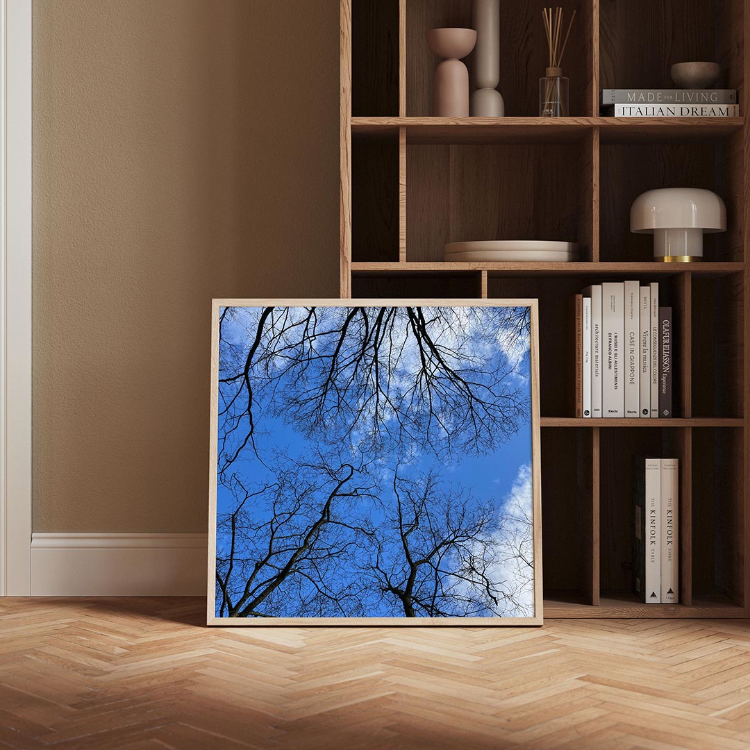 Boomtakken tegen lucht Poster