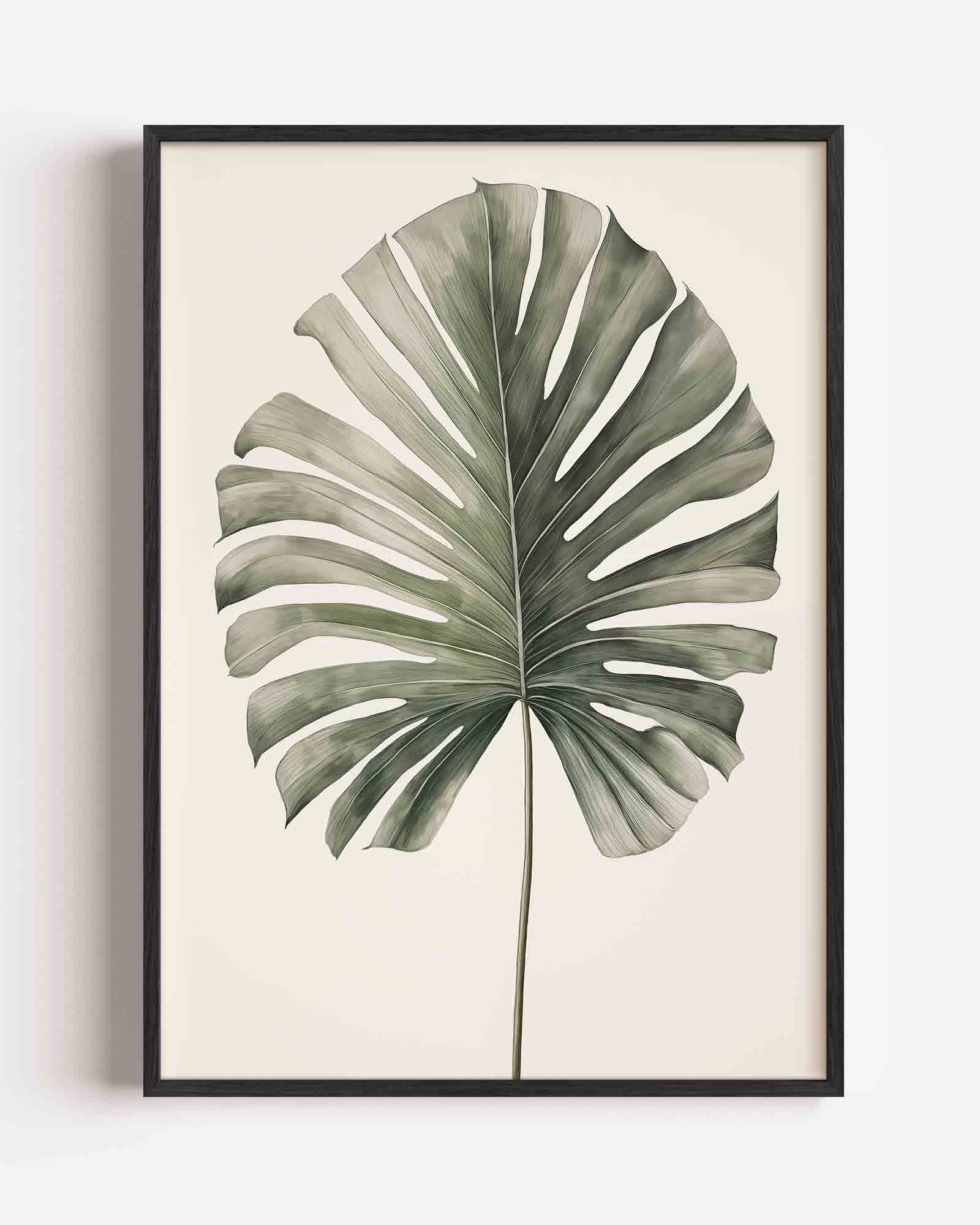 Monstera blad Poster