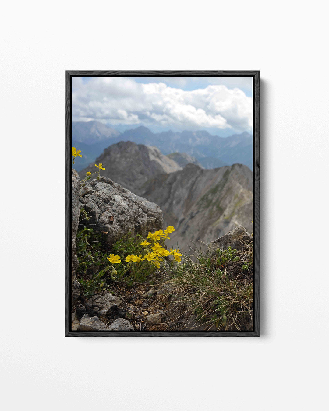 Berglandschap met bloemen Kunstwerk