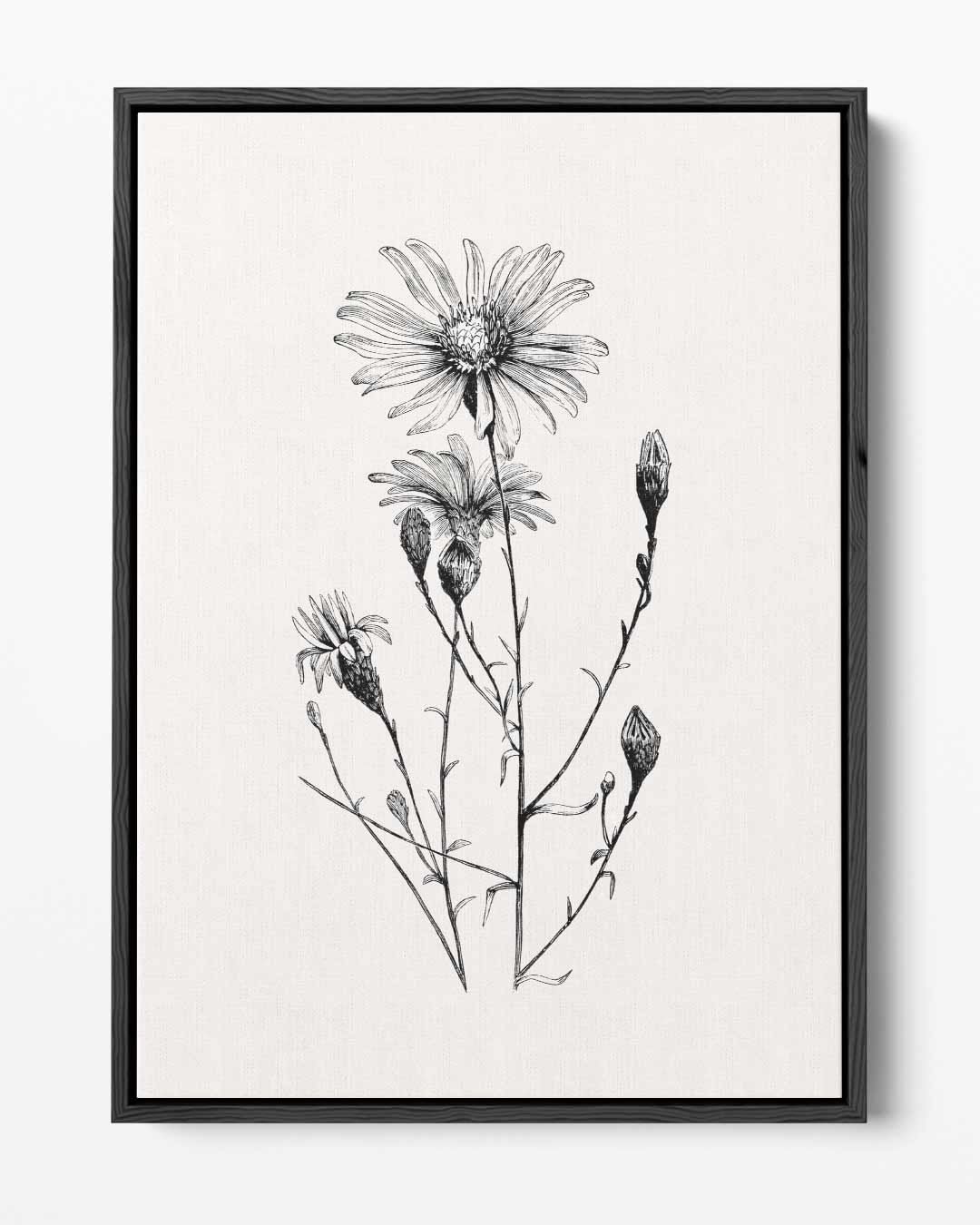 Bloem in Zwart-Wit Kunstwerk-canvas-dibond-plexiglas-wanddecoratie-WallArtistic