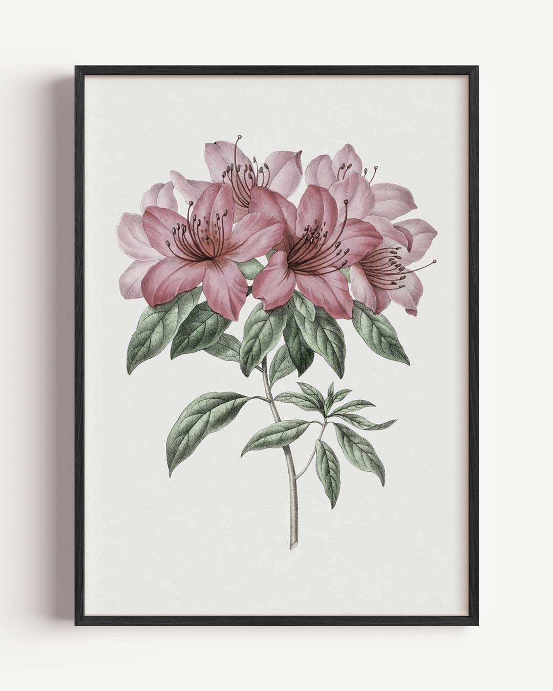 Elegante Bloemenpracht Poster