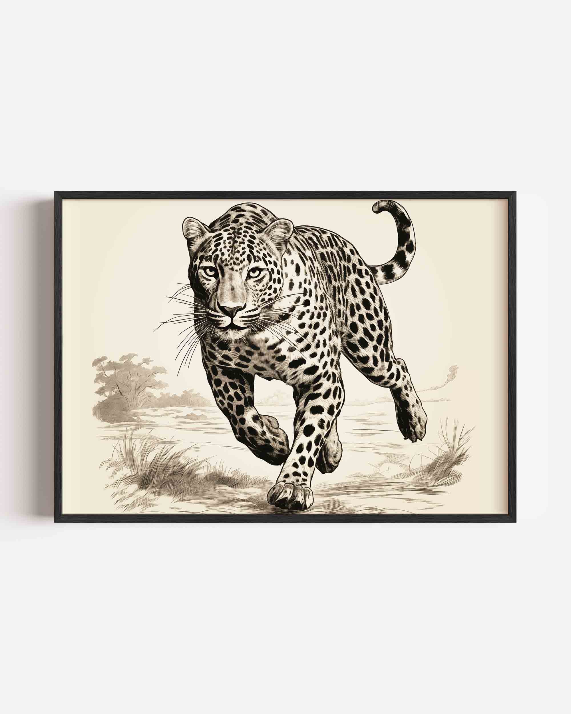 Jaguar in beweging Poster