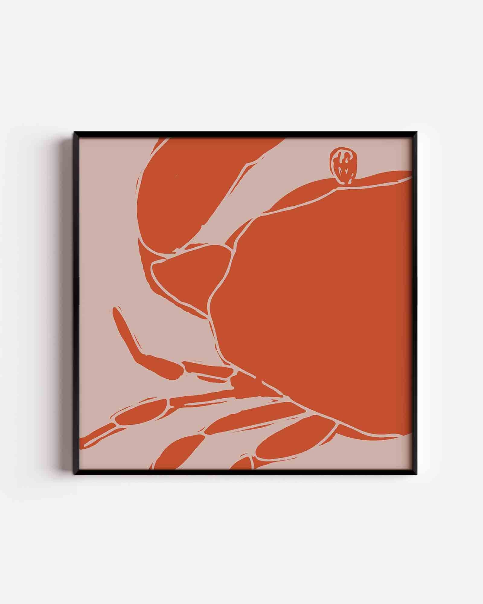 Oranje krab Poster