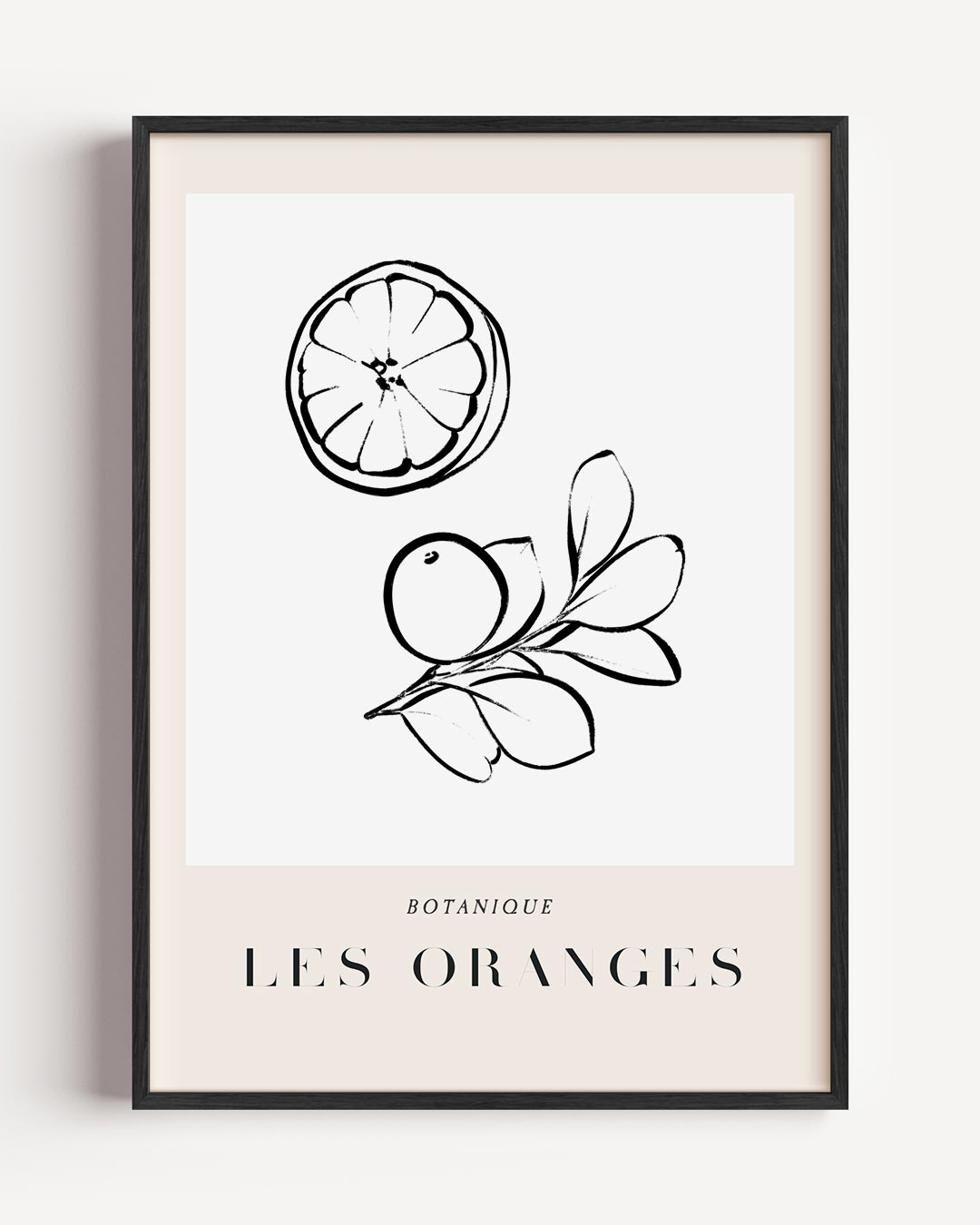 Botanische Sinaasappel Illustratie Poster-WallArtistic