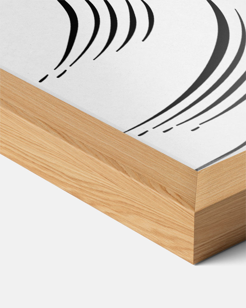 Elegante Schelpentekening Poster