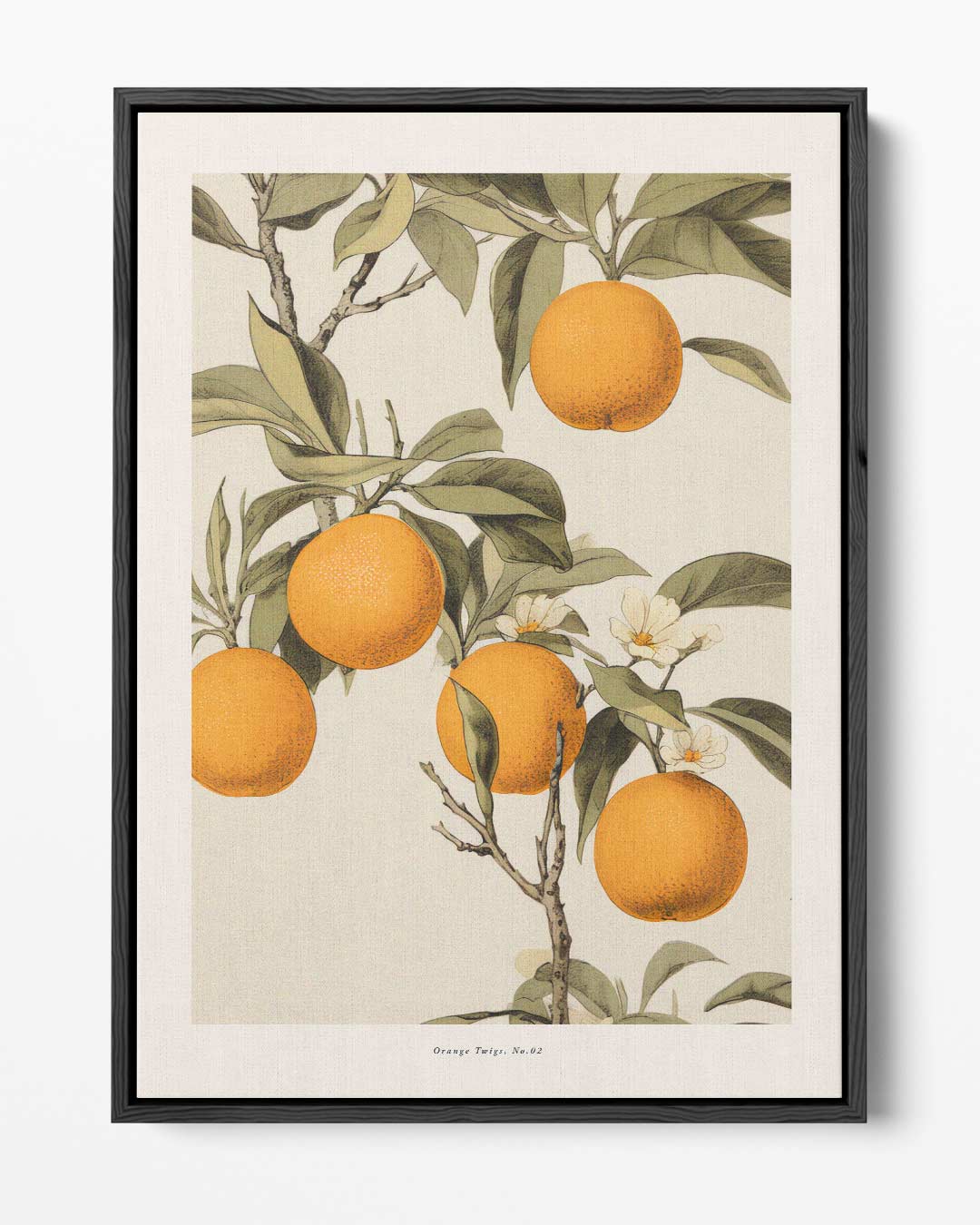 Vintage Sinaasappel Illustratie Kunstwerk-canvas-dibond-plexiglas-wanddecoratie-WallArtistic