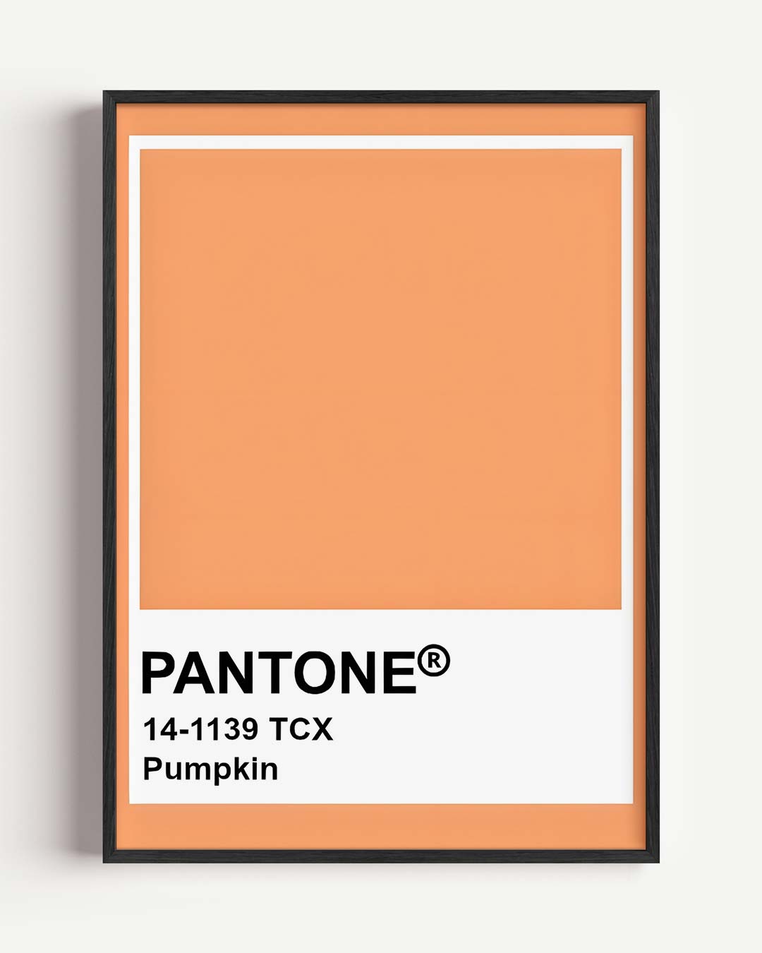 Pantone Stijlvolle Pumpkin Poster