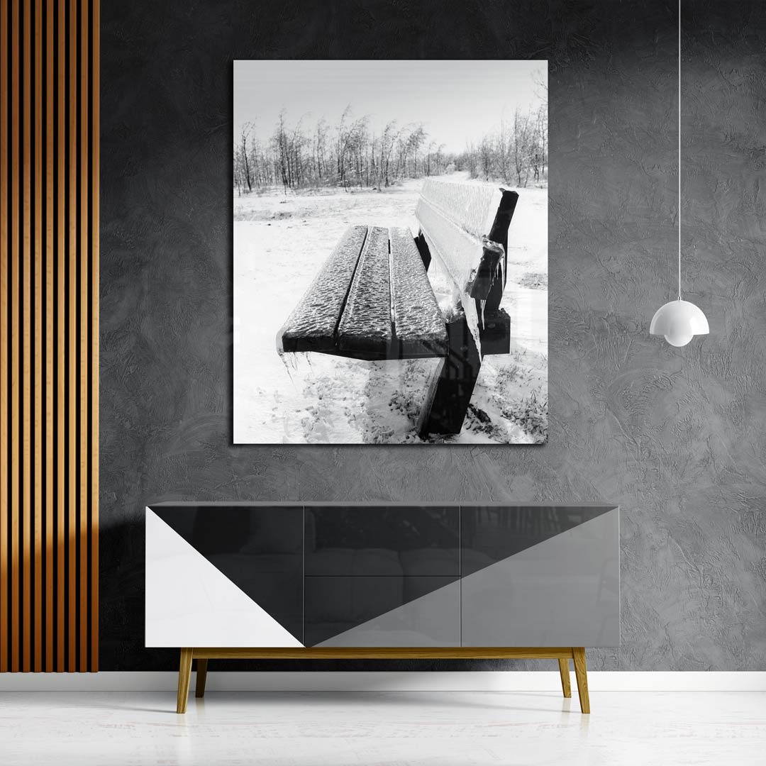 Bank met ijzel Poster