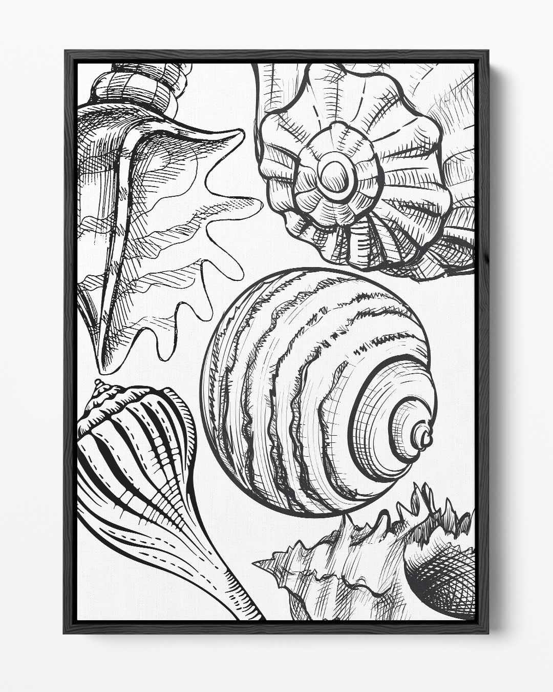 Schelpen Illustratie Kunstwerk-canvas-dibond-plexiglas-wanddecoratie-WallArtistic