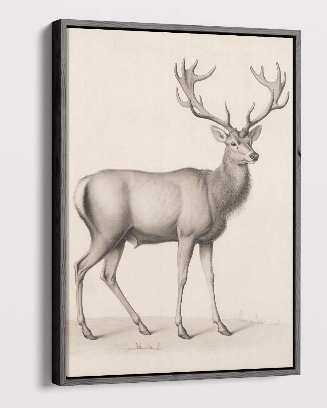 Majestueuze Hertentekening Kunstwerk-canvas-dibond-plexiglas-wanddecoratie-WallArtistic