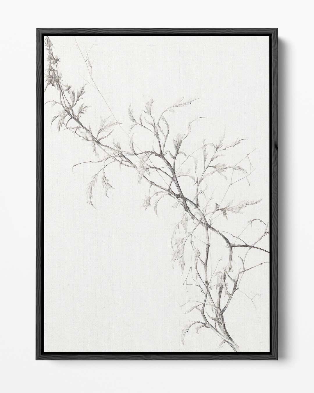 Subtiele Tak In Potlood Kunstwerk-canvas-dibond-plexiglas-wanddecoratie-WallArtistic