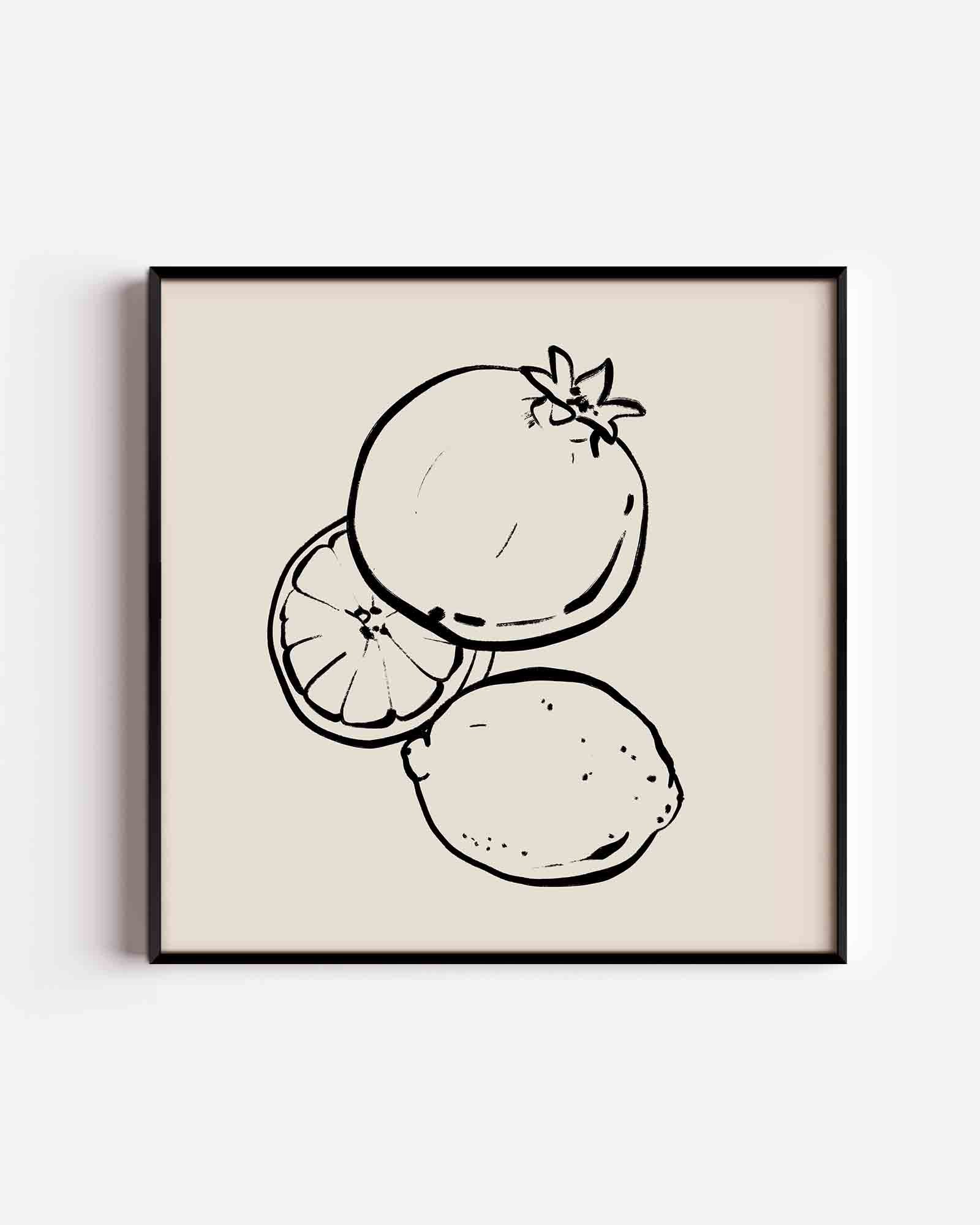 Fruit schets Poster