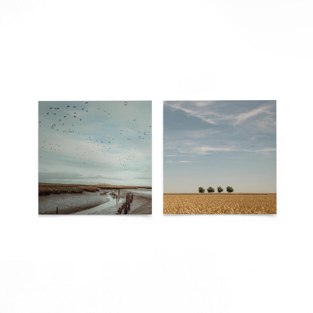 Productfoto van twee vierkante posters met vogels boven stille velden – Gerald Emming
